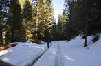 Estrada interrompida pela neve no Kings Canyon National Park,  na Califórnia - EUA